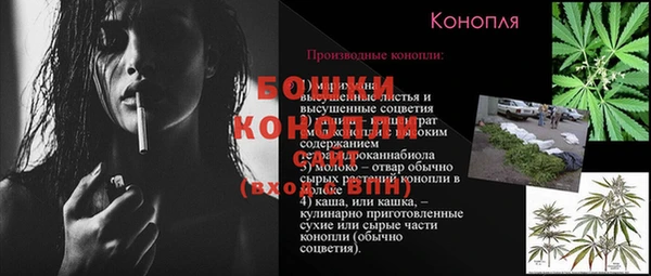 молекула духа Волоколамск