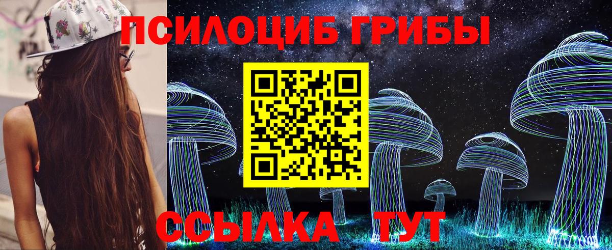 Псилоцибиновые грибы Psilocybine cubensis Малоярославец