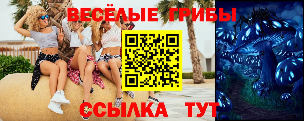 Псилоцибиновые грибы ЛСД Малоярославец