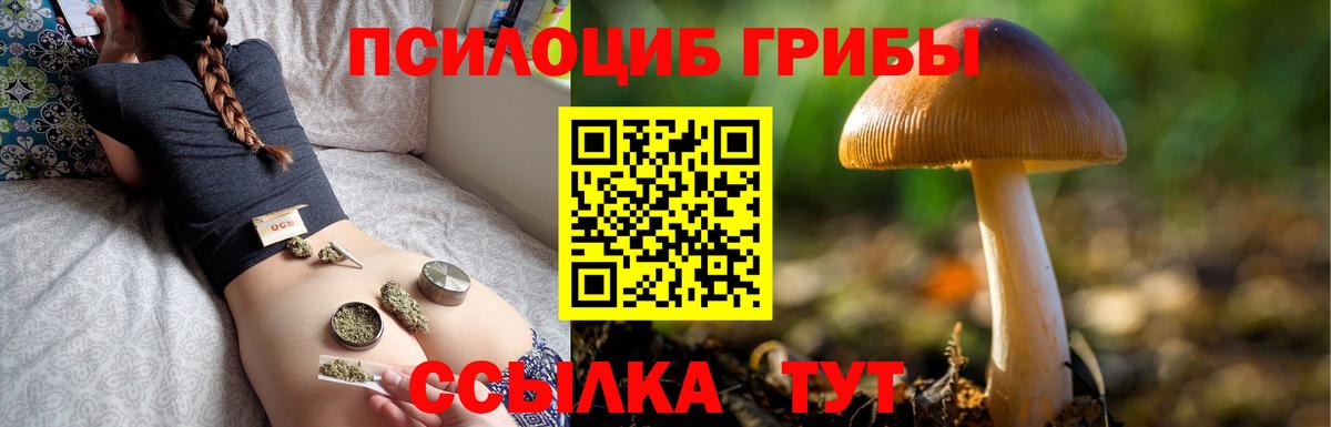 как найти   Псилоцибиновые грибы мухоморы  Вход с VPN  Малоярославец 